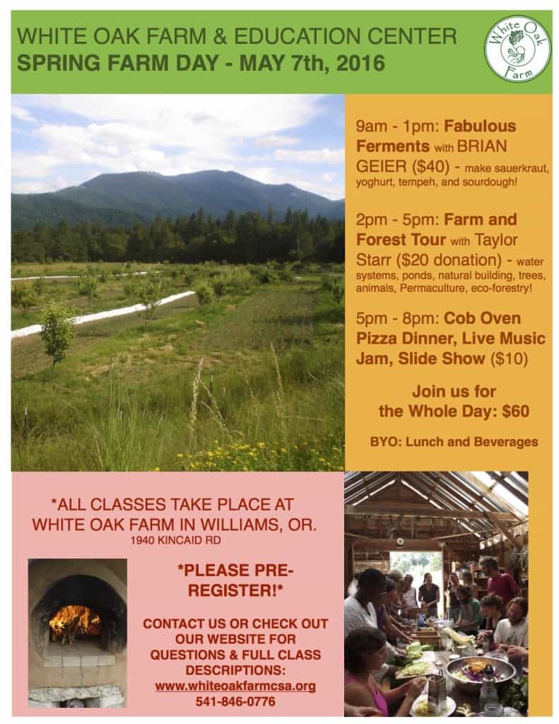 spring farm day flyer